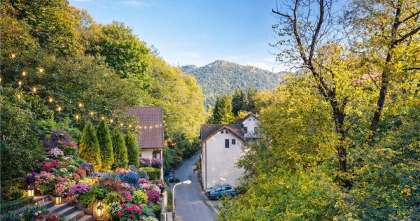 FILM3D! Resedinta notabila, in pretiosul areal:Drumul Poieni