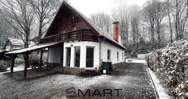 Casa de vacanta cu teren 2000mp Valea Avrigului