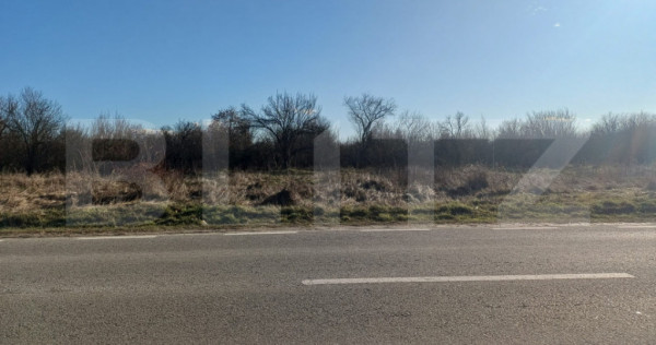 Teren intravilan de vanzare, 1.000 mp, zona RASOVITA