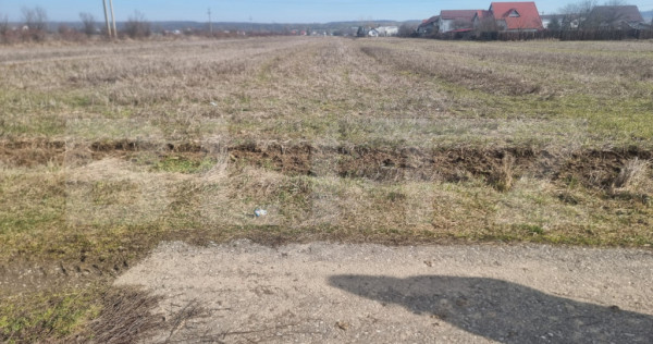 TEREN INTRAVILAN CONSTRUCTII