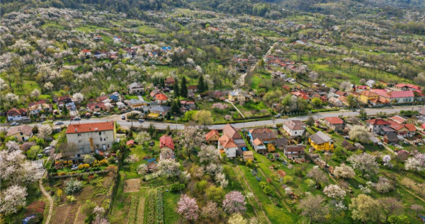 FILM! Casa pe domeniu de 3.117 mp, Viperesti Buzau