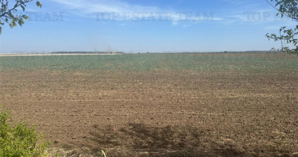 Teren intravilan construibil , Branesti-Ilfov, 7100 mp, ide