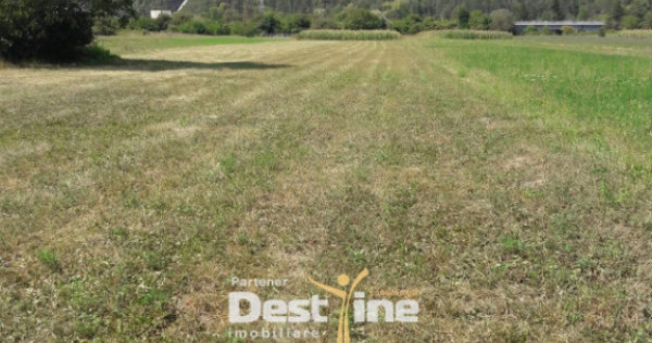 Teren de vanzare Pangarati 58.500 Euro 4488mp Intravilan