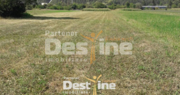 Teren de vanzare Pangarati 58.500 Euro 4488mp Intravilan