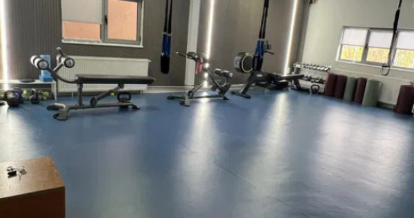 Spatiu comercial P+1, 440 mp, zona Brazda lui Novac