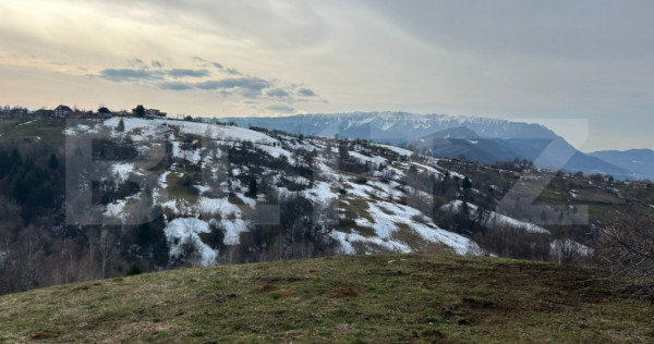 Teren de vanzare Sohodol, Bran