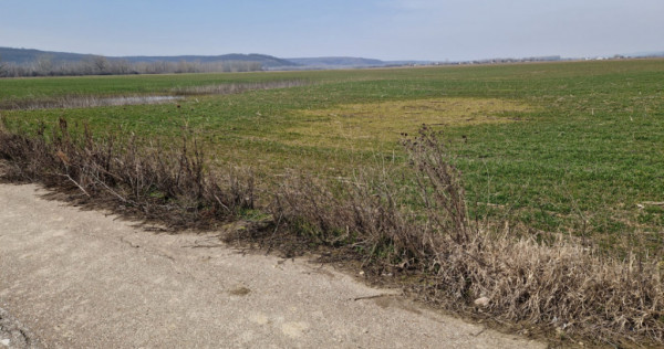 Teren intravilan de v&acirc;nzare &ndash; 3300 mp, Leșile