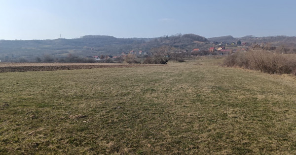 Remetea Chioarului, 29 ari teren