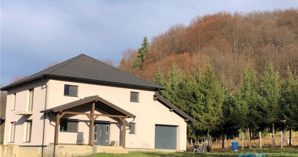 Casa moderna in mijlocul naturii cu lac, Cheisoara