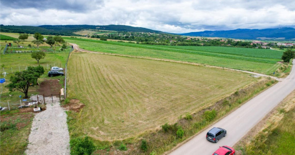 3.800mp recomandat:investitie,rezidenta vacanta,domeniu priv