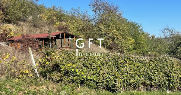 Teren 2700 mp in zona Viisoara - avans+5 rate lunare!