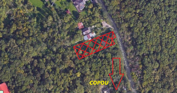 Copou - Teren intravilan 1853 mp PUZ in lucru 3 locuinte
