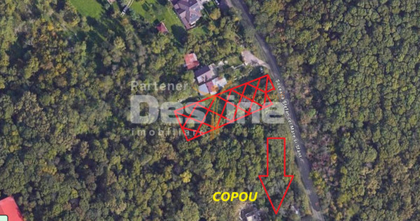 Copou - Teren intravilan 1853 mp PUZ in lucru 3 locuinte