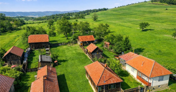 Film! Casa din lemn,cu doua camere, pe domeniu de 2.819 mp,