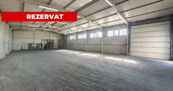 Hale & Birouri Mărăcineni - 1.294 mp - Deschidere la DN