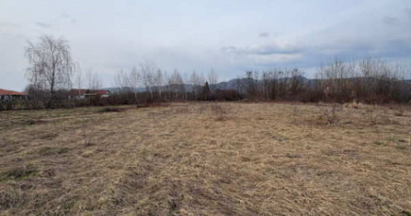 Teren intravilan 10.000 mp plan | Utilități &icirc;n apropiere