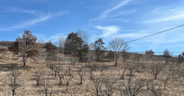 Opprtunitate de investiție! Teren intravilan &icirc;n Mera!