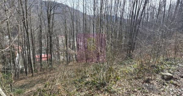 Tere intravilan de vanzare in Sinaia