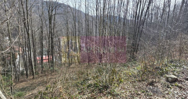 Tere intravilan de vanzare in Sinaia
