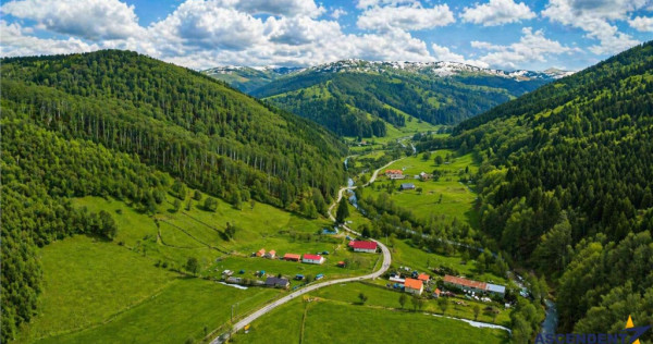 Teren la poalele padurii,Buzaiel,Vama Buzaului,DJ,constructi