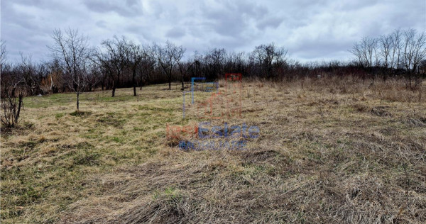 Teren cu vedere superba la lac de 1280 mp, Ciurbesti