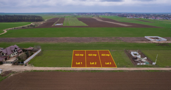 FRUMUSANI - VIOLETELOR, TEREN 423 MP, FRONT 14 M!