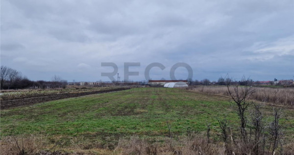 Teren intravilan in Bors cu front mare