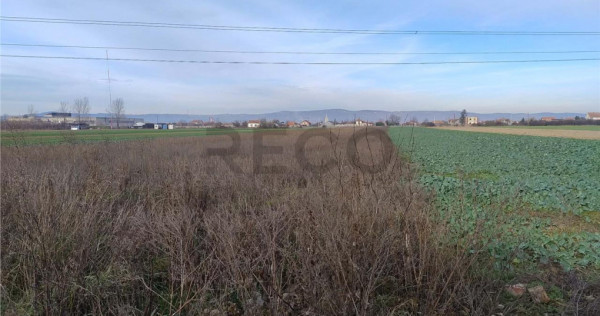 RECO Teren intravilan in Osorhei 5500mp dublu front