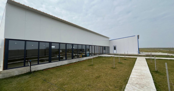 Proprietate 8400 mp sală evenimente și proiect pensiune fi