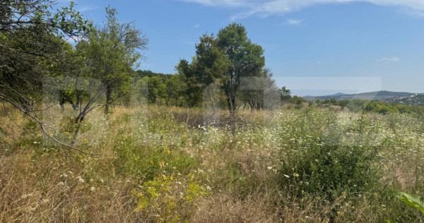 Teren de vanzare extravilan 10819 mp, zona La Soare