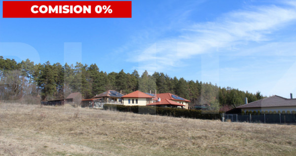 Teren intravilan I Panorama Lumii