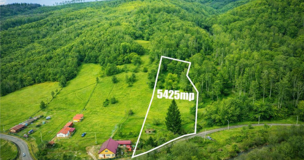 Teren la poalele padurii,Buzaiel,Vama Buzaului,DJ,constructi