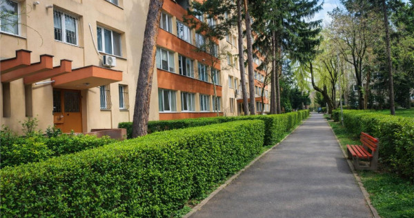 Apartament spatios si insorit, Victoriei, Garii - Centru Ci