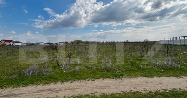 Teren extravilan, 1323 mp, zona Cernele