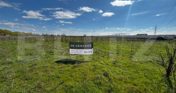 Teren extravilan, 1323 mp, zona Cernele
