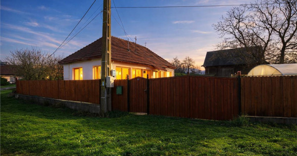 FILM! Casa cu sura, pivnita, balta cu pesti, 2.280 mp teren