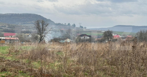 Teren Pentru Constructii 9292 mp- zona Cuzdrioara