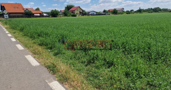 Teren intravilan 9.470 mp &ndash; Bolintin-Deal, locație