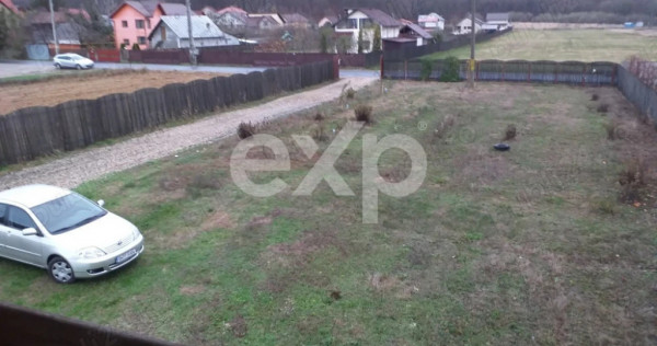 5000 mp teren + casa vacanta in Bascov