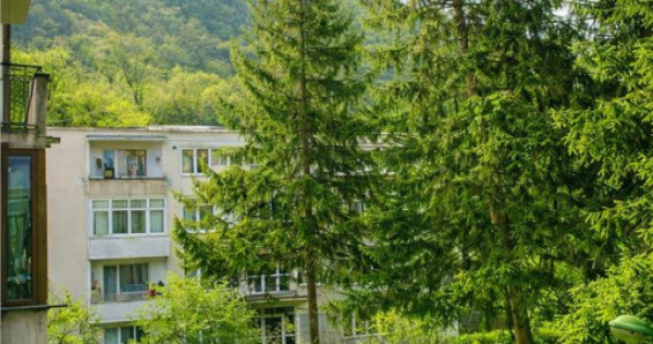 Apartament 2 camere,luminos,incadrat de liniste si verdele n