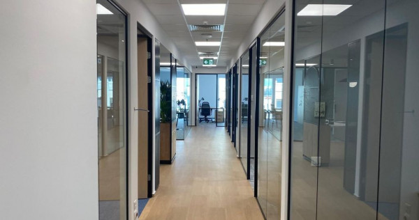 Birouri premium Calea Victoriei &ndash; 490&euro;/workstation
