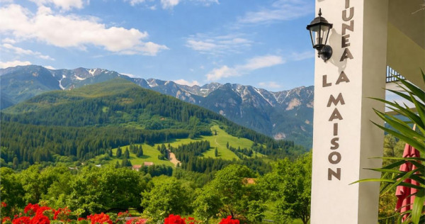 Pensiune:3 km de Castelul Bran, 2.900mp teren, aviz ISU, pre