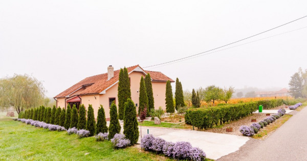 Vand casa 4 camere comuna Archis ID:RH-44676-property