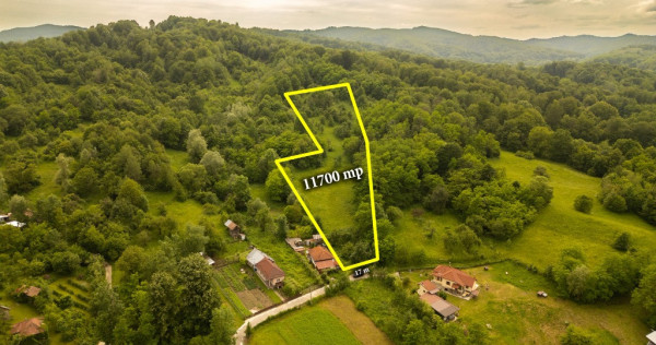 Teren de 11600 mp &icirc;n mijlocul naturii la 2 ore de București