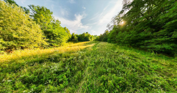 Teren de 11700 mp &icirc;n mijlocul naturii la 2 ore de București
