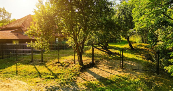 Teren de 11700 mp &icirc;n mijlocul naturii la 2 ore de București
