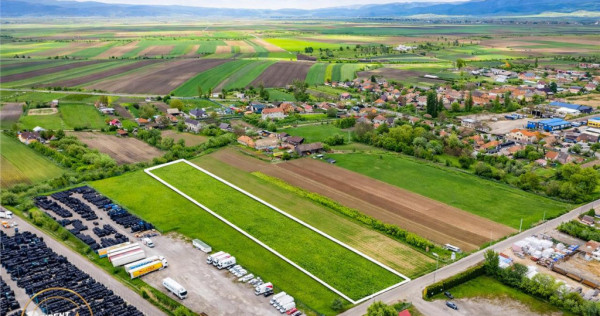 FILM! 5.000 mp teren, la marginea orasului Targu Secuiesc, a