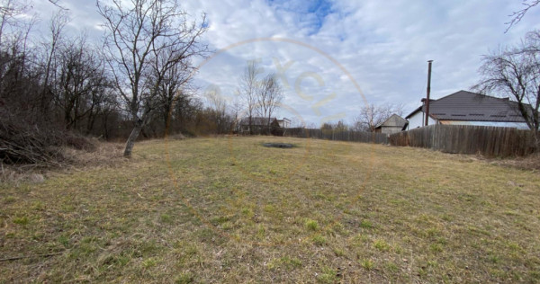 Teren cu panorama superba + padure Albota Gura Văii Arges