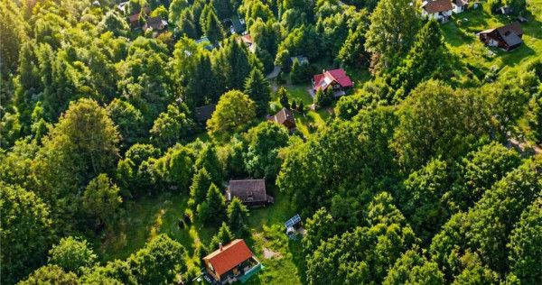 Casa Cabana 2.000 mp teren in miracolul naturii autentice,B