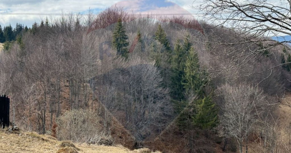 Teren extravilan Fundata 3,915 mp